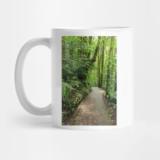 Stone path in Monteverde cloud forest Costa Rica Mug